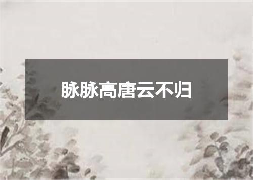 脉脉高唐云不归