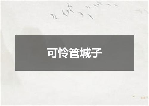 可怜管城子