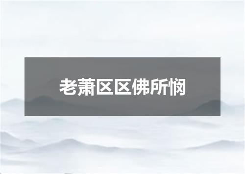 老萧区区佛所悯