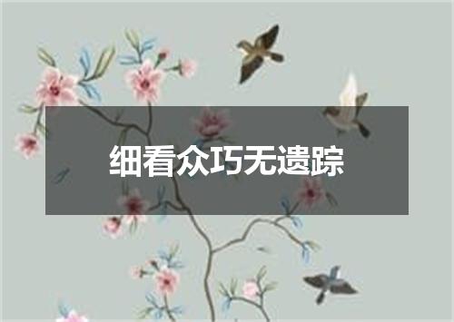 细看众巧无遗踪