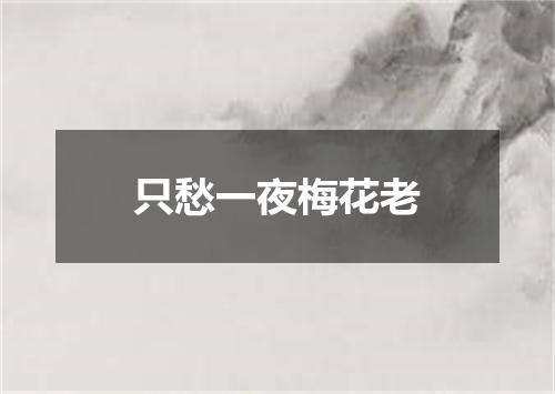 只愁一夜梅花老
