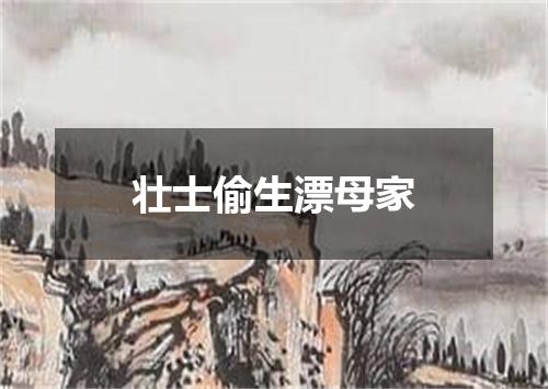 壮士偷生漂母家