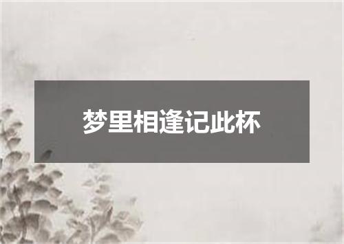 梦里相逢记此杯