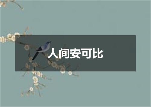 人间安可比