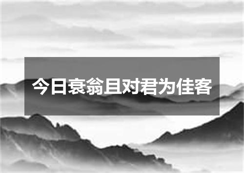 今日衰翁且对君为佳客