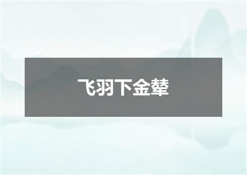飞羽下金辇