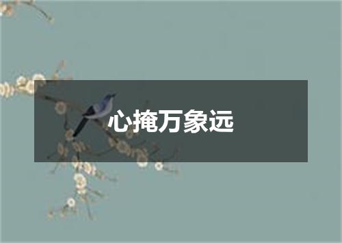 心掩万象远