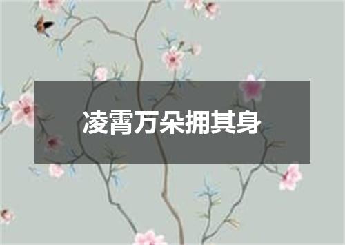 凌霄万朵拥其身