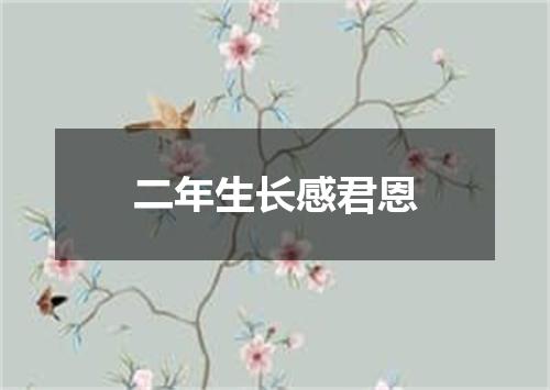 二年生长感君恩