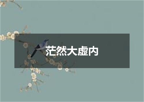茫然大虚内