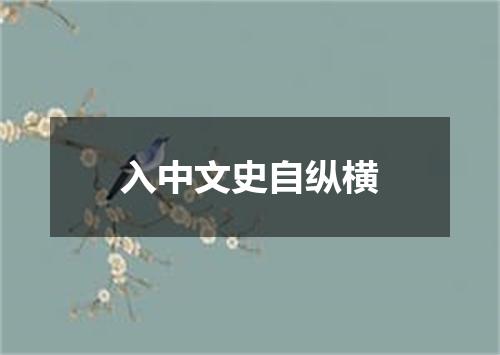 入中文史自纵横