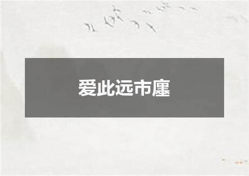 爱此远市廛