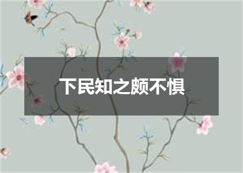 下民知之颇不惧