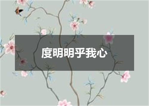 度明明乎我心