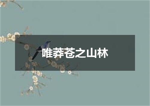 唯莽苍之山林