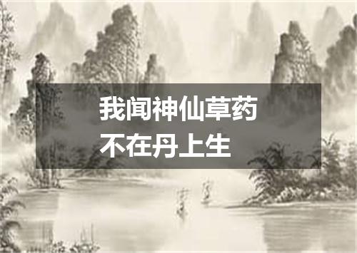 我闻神仙草药不在丹上生