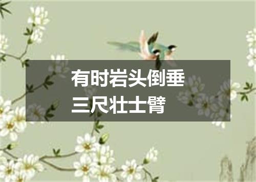 有时岩头倒垂三尺壮士臂