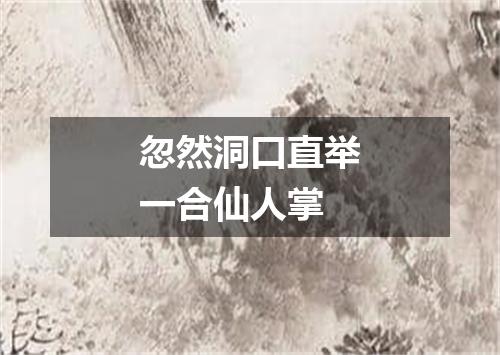 忽然洞口直举一合仙人掌