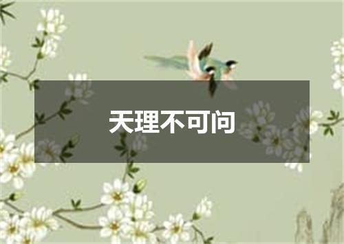 天理不可问