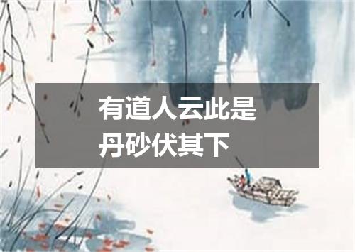 有道人云此是丹砂伏其下
