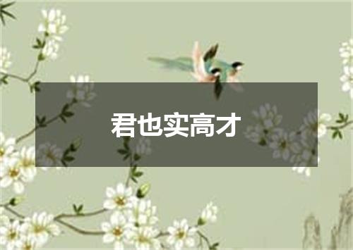 君也实高才