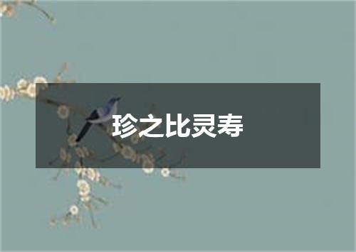 珍之比灵寿