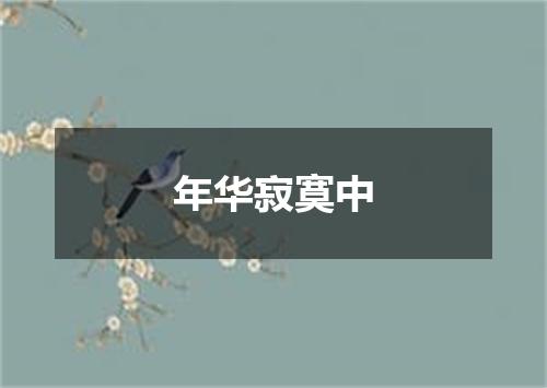 年华寂寞中