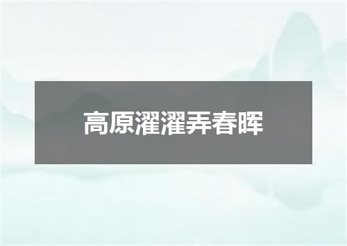 高原濯濯弄春晖
