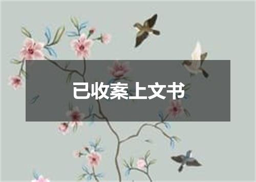 已收案上文书