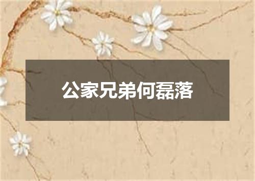 公家兄弟何磊落