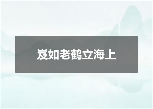 岌如老鹤立海上