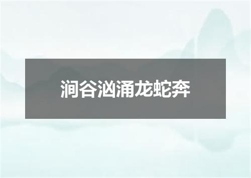 涧谷汹涌龙蛇奔