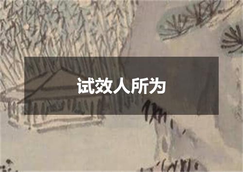 试效人所为