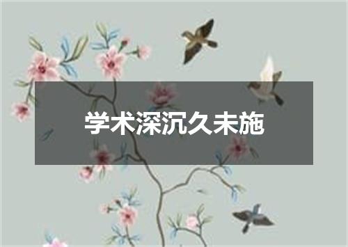 学术深沉久未施
