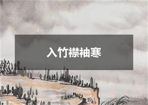 入竹襟袖寒
