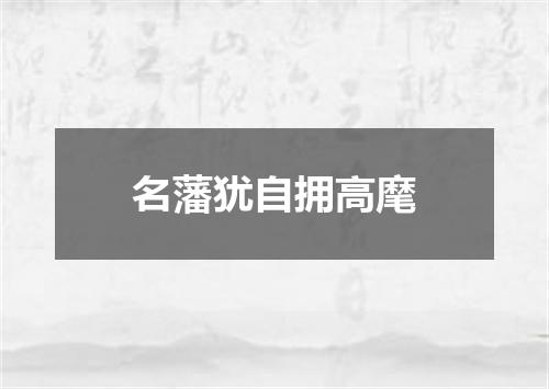 名藩犹自拥高麾