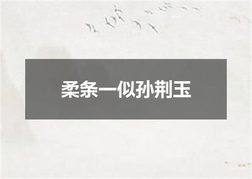 柔条一似孙荆玉