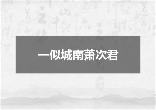 一似城南萧次君