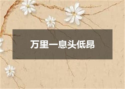 万里一息头低昂