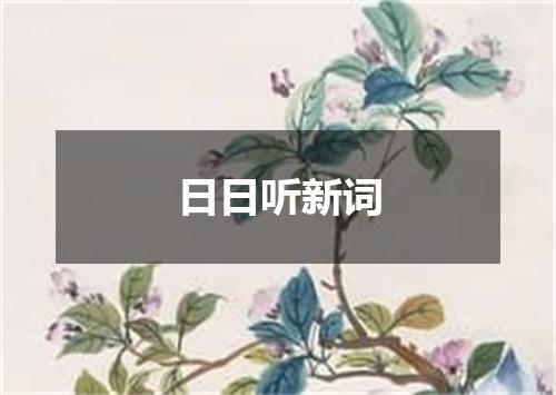 日日听新词