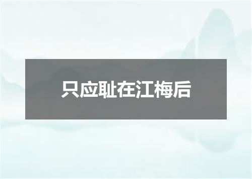 只应耻在江梅后
