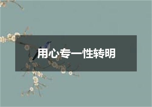 用心专一性转明