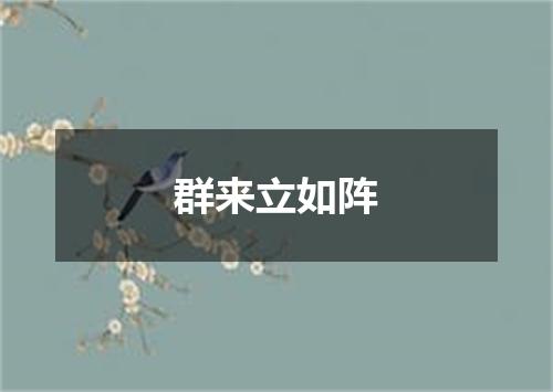 群来立如阵