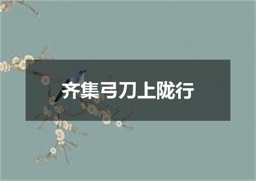 齐集弓刀上陇行