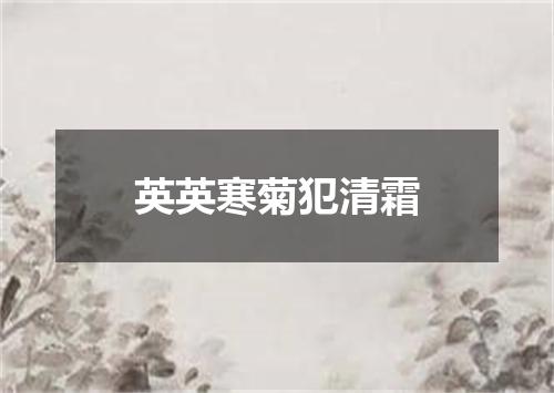 英英寒菊犯清霜