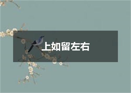 上如留左右