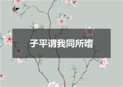 子平谓我同所嗜