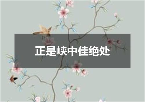 正是峡中佳绝处