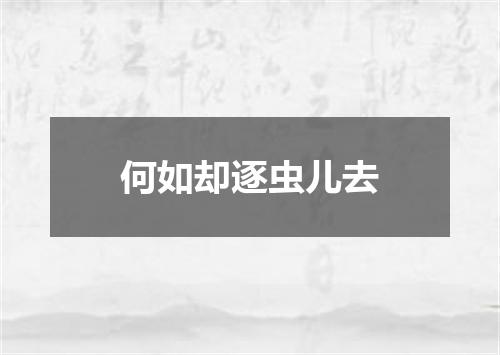 何如却逐虫儿去