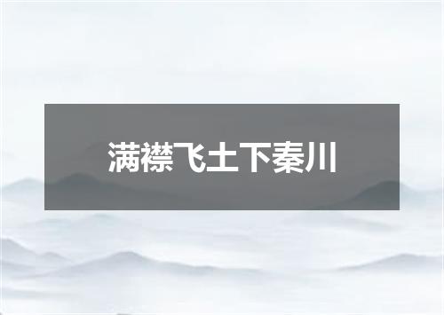 满襟飞土下秦川